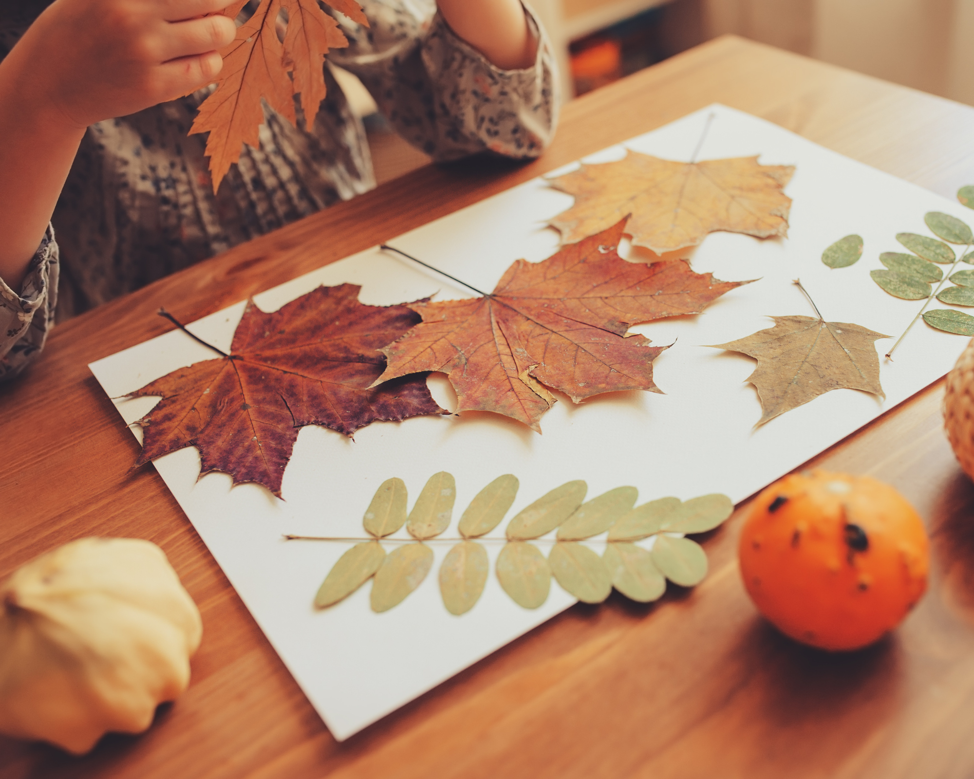 Foto-manualidades-hojas