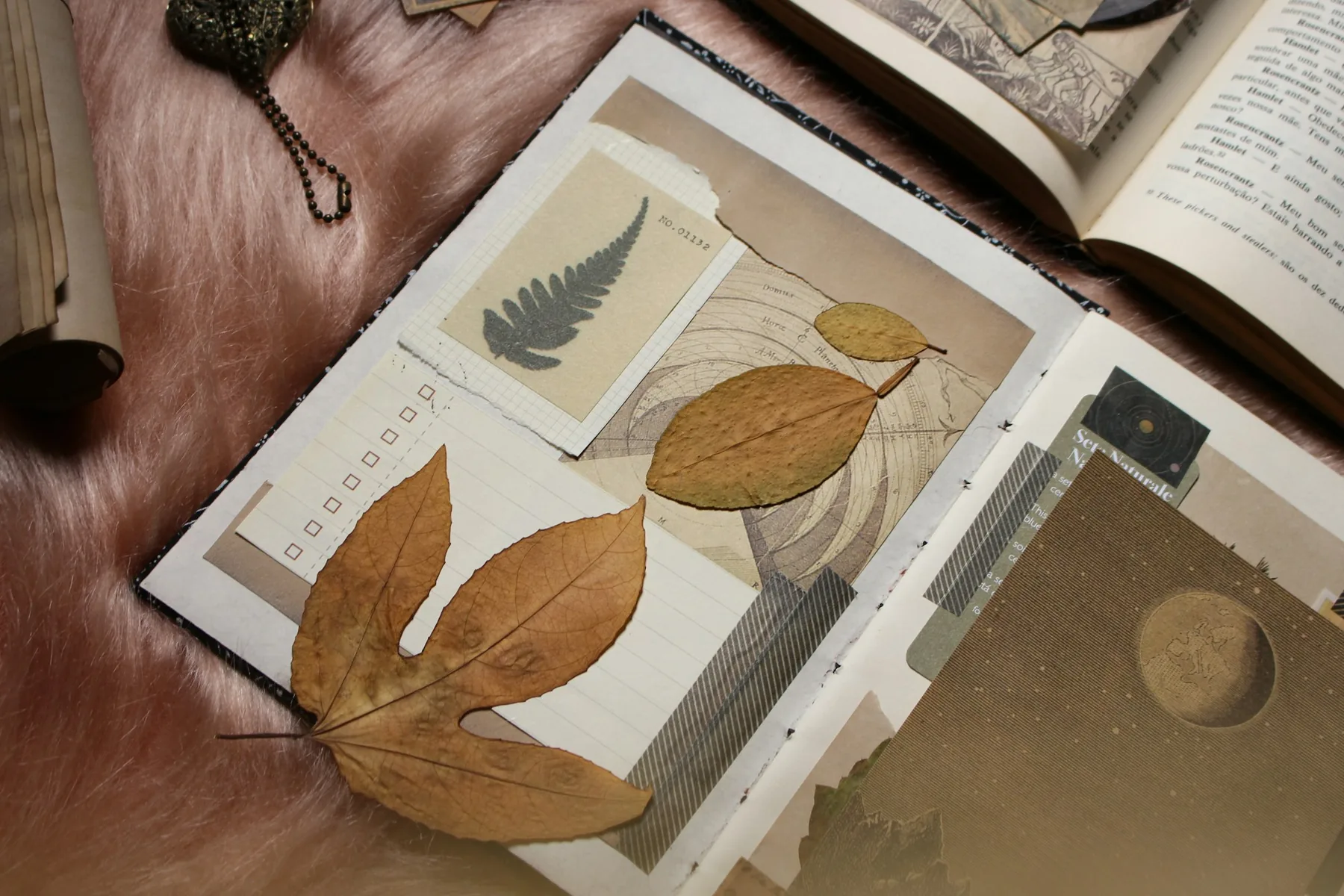 Cuaderno creativo con hojas secas, papeles y materiales botánicos