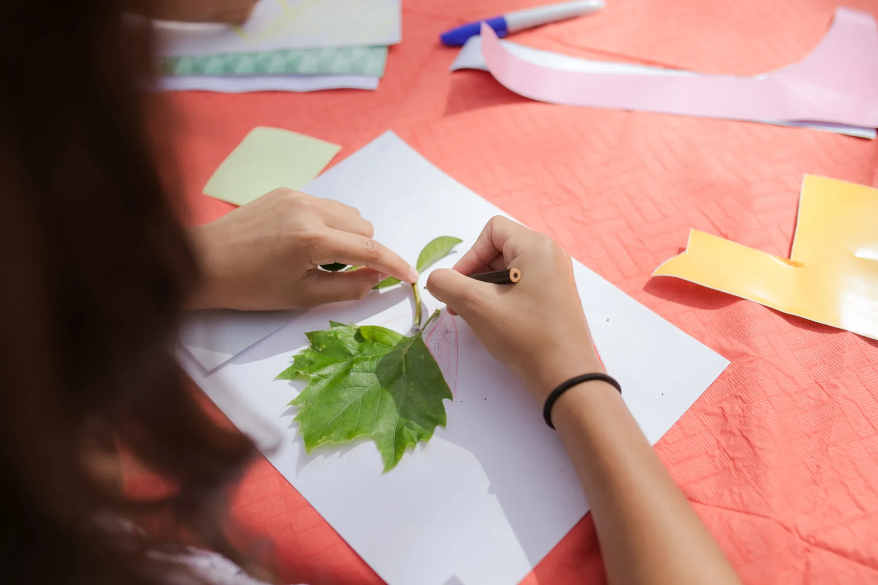 Manos trazando una hoja verde sobre papel en una mesa de manualidades