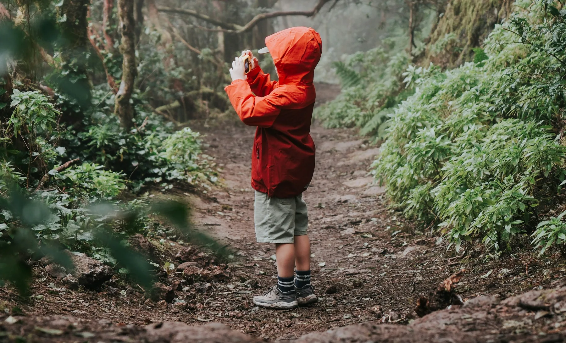 Niño con chubasquero rojo observando el bosque húmedo de Anaga